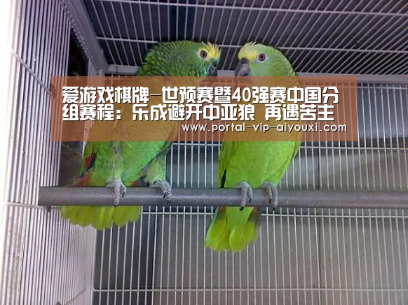 爱游戏棋牌-世预赛暨40强赛中国分组赛程:乐成避开中亚狼 再遇苦主叙利亚(图2) 爱游戏